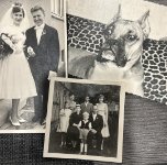 ein Bild aus dem Album