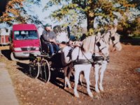 ein Bild aus dem Album