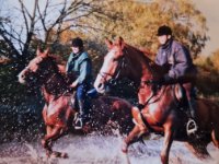 ein Bild aus dem Album