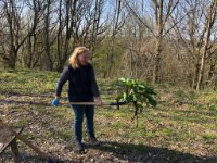 ein Bild aus dem Album