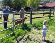 ein Bild aus dem Album