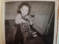 ein Bild aus dem Album