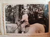 ein Bild aus dem Album